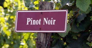 Feature-non-alcoholic pinot noir