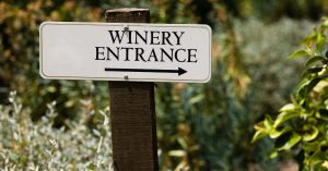 fre non-alcoholic wine