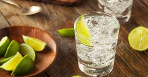non-alcoholic gin and tonic