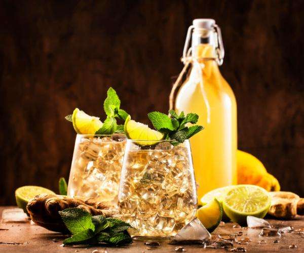 8 Ginger Ale Mocktail Recipes Simple Mocktail Recipes